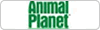 Animal planet